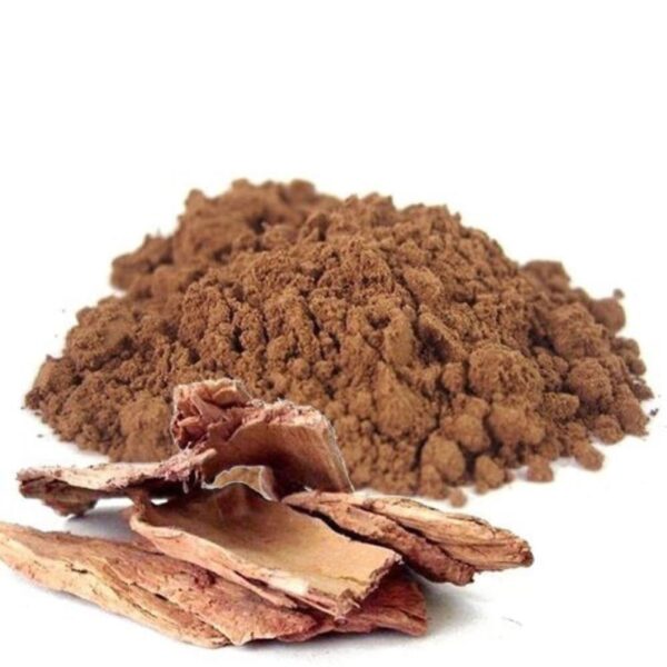 Ashoka dry extract