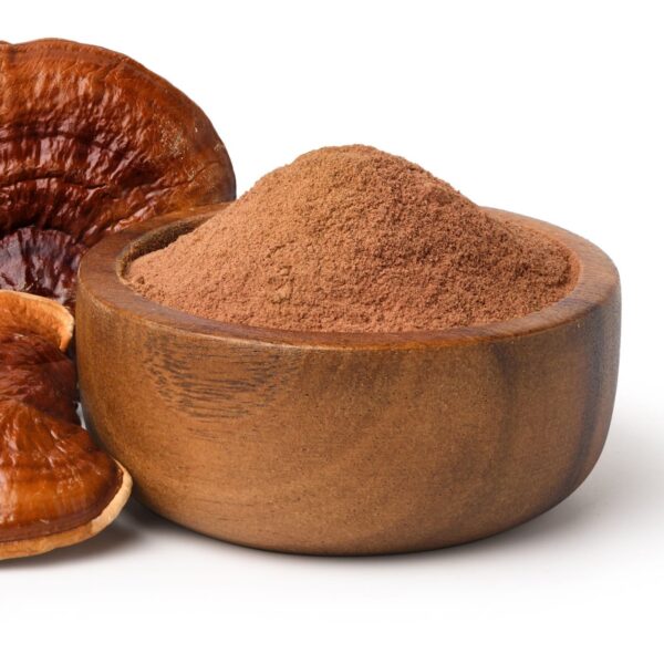 Ganoderma dry extract