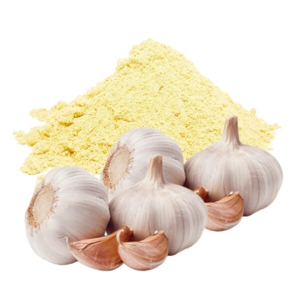 Garlic dry extract
