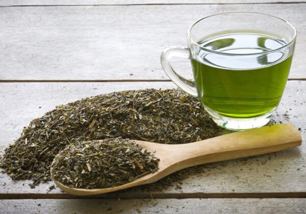 Green tea dry extract