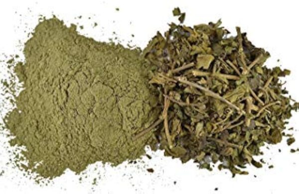 Brahmi  liquid extract