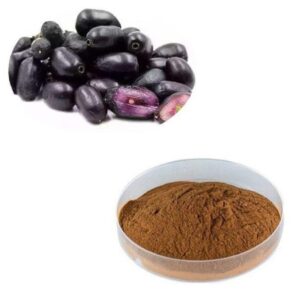 Jamun seed dry extract