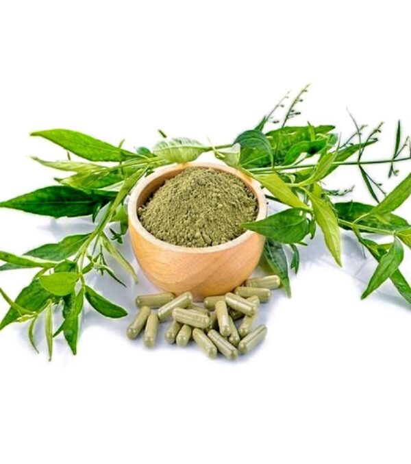 Kalmegh dry extract