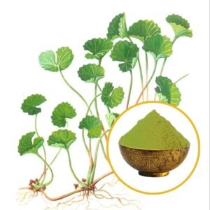 Mandukparni dry extract