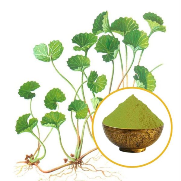 Mandukparni dry extract