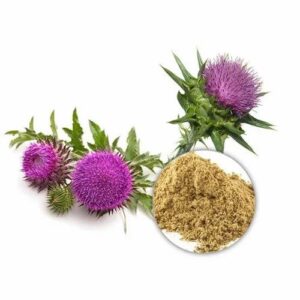 Milk thistle dry extract