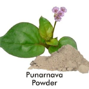 Purarnava dry extract