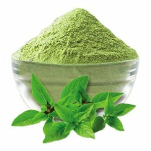 Tulsi dry extract