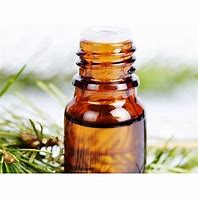 Babul Gum liquid extract