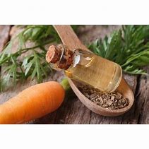 Carrot liquid extract