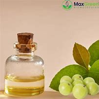 Amla liquid extract