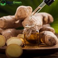 Ginger liquid extract