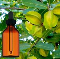 Arjun Bark liquid extract